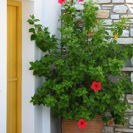 Ξενοδοχείο με διαμερίσματα Ostria Νάουσα